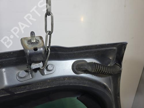 Bagklap CC/Kombi-Coupé CITROËN C3 II (SC_) 1.4 HDi 70 (SC8HZC, SC8HR0, SC8HP4) | BP31019057C6 