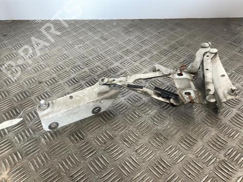 Hinge/Door check strap LAND ROVER RANGE ROVER EVOQUE (L538) 2.0 D 4x4 | BP25662965C146 