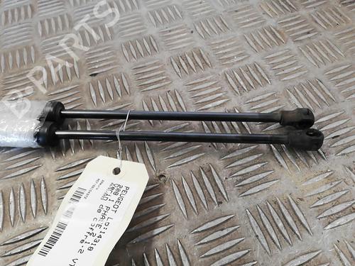 Tailgate lift support PEUGEOT 208 I (CA_, CC_) 1.4 HDi | BP25665640C138