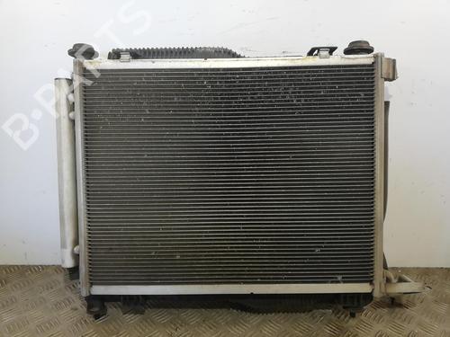 Køler FORD FIESTA VII (HJ, HF) 1.1 Ti-VCT (86 hp) 25667528