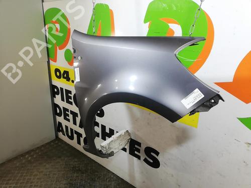 Right front fenders RENAULT CLIO III (BR0/1, CR0/1) 1.5 dCi (BR17, CR17) | BP25667564C42 