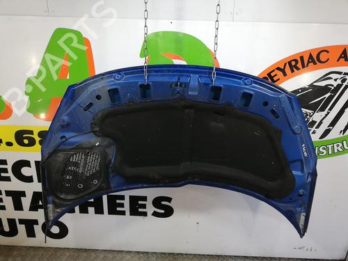 Used Hood PEUGEOT 206+ (2L_, 2M_) 1.4 HDi eco 70 (68 hp) 25670188