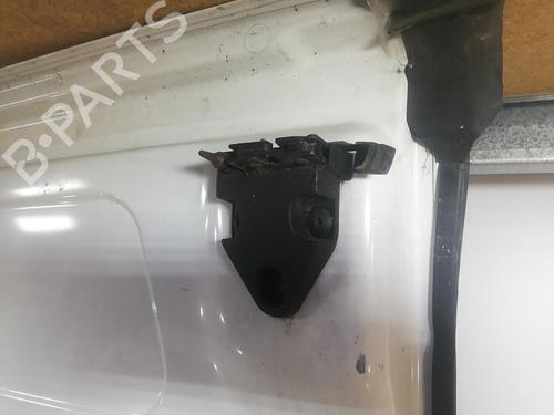 Portón trasero derecho OPEL VIVARO A Van (X83) 1.9 DTI (F7) (101 hp) 25665284