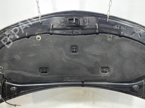 Hood RENAULT CLIO III (BR0/1, CR0/1) 1.5 dCi (BR17, CR17) | BP29273069C1 