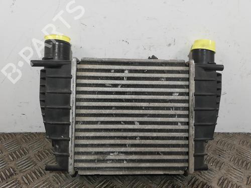 Intercooler RENAULT MODUS / GRAND MODUS (F/JP0_) 1.5 dCi (FP0D, JP0D) (82 hp) 25670005