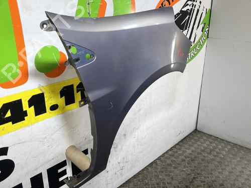 Right front fenders RENAULT CLIO III (BR0/1, CR0/1) 1.5 dCi (BR17, CR17) | BP25662148C42 