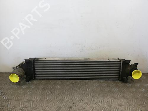 Intercooler LAND ROVER FREELANDER 2 (L359) 2.2 TD4 4x4 | BP25669848M30 - Image 3