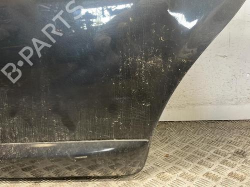 Left rear door DACIA SANDERO 1.4 (BS0C, BS0A, BS0G, BS1F, BS0E) | BP25665711C4