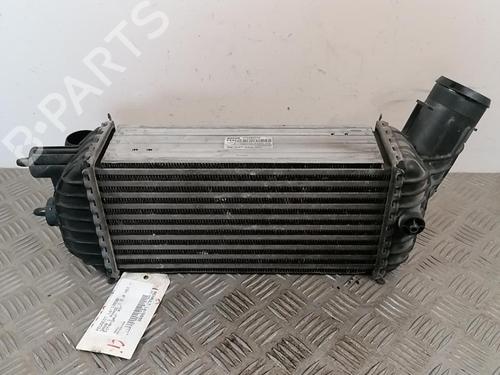 Used Intercooler Intercooler PEUGEOT 3008 I MPV (0U_) 2.0 HDi Hybrid4 (0URHCA) (200 hp) 25663406 25663406