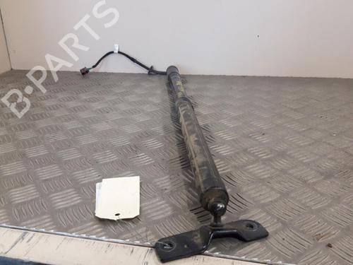 Tailgate lift support FORD C-MAX II (DXA/CB7, DXA/CEU) 2.0 TDCi | BP25663672C138 