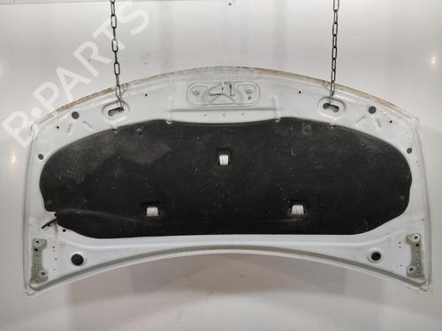 Motorhjelm Motorhjelm RENAULT CLIO III (BR0/1, CR0/1) 1.5 dCi (75 hp) 36896960 36896960