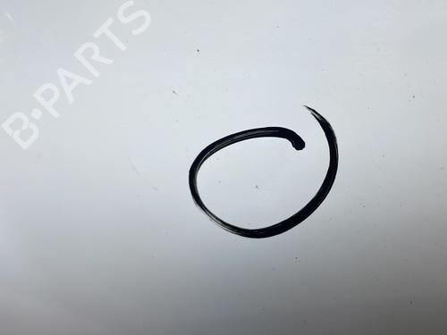 Used Right tailgate Right tailgate RENAULT KANGOO Express (FC0/1_) 1.5 dCi (FC07, FC1R) (65 hp) 29074358 29074358