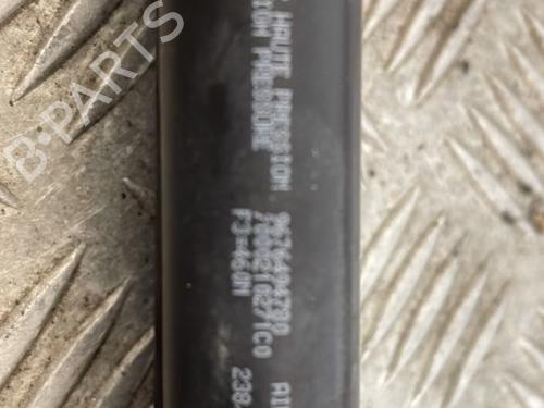 Tailgate lift support PEUGEOT 208 I (CA_, CC_) 1.6 HDi / BlueHDi 75 | BP25667114C138
