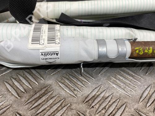 left-curtain-airbag-citroen-c4-cactus-2014-25667390 main image