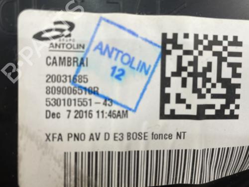 Used Front right panel Front right panel RENAULT SCÉNIC IV (J9_) 1.2 TCe 130 (130 hp) 25667190 25667190