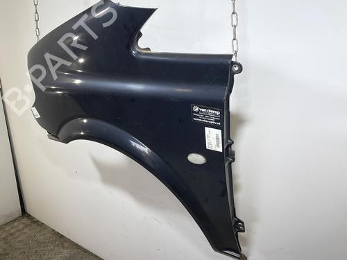 Left front fenders MERCEDES-BENZ VITO / MIXTO Van (W639) 111 CDI (639.601, 639.603) | BP25898533C41 