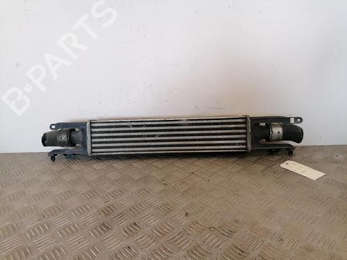 Used Intercooler Intercooler OPEL CORSA D (S07) 1.3 CDTI (L08, L68) (90 hp) 25670733 25670733