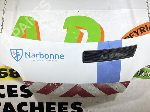 Used Hood RENAULT TRAFIC II Bus (JL) 2.0 dCi 90 (JL00, JL01, JL0H, JL0M, JL0P, JL0S) (90 hp) 25666987