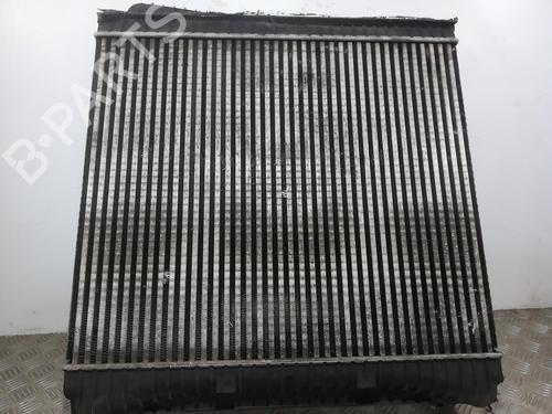 Used Intercooler Intercooler LAND ROVER RANGE ROVER SPORT I (L320) 3.0 D 4x4 (256 hp) 25664766 25664766