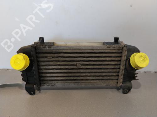 Intercooler Intercooler AUDI A2 (8Z0) 1.4 TDI (75 hp) 36168201 36168201