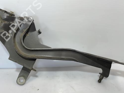 hingedoor-check-strap-renault-grand-scenic-iii-jz01_-2009-2010-2011-2012-2013-2014-2015-2016-27898124 main image