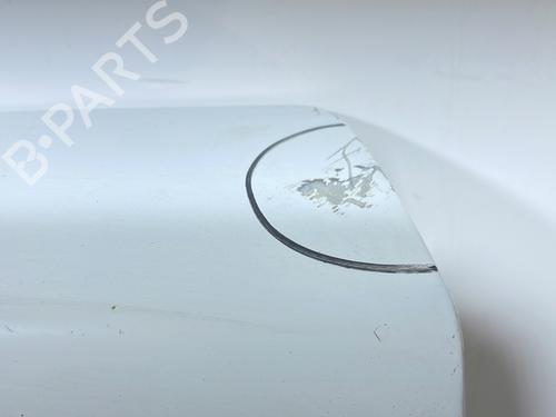 Left tailgate RENAULT KANGOO Express (FC0/1_) 1.5 dCi (FC07, FC1R) | BP29074359C76 