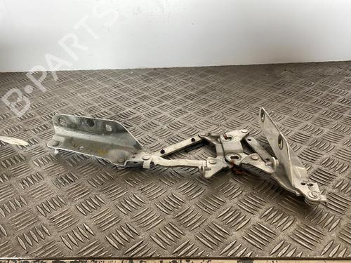 hingedoor-check-strap-land-rover-range-rover-evoque-l538-2011-2012-2013-2014-2015-2016-2017-2018-2019-25662965 main image