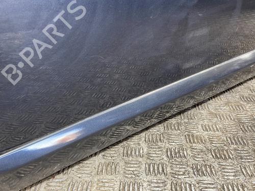 Left front door DACIA SANDERO 1.4 (BS0C, BS0A, BS0G, BS1F, BS0E) | BP25665710C2