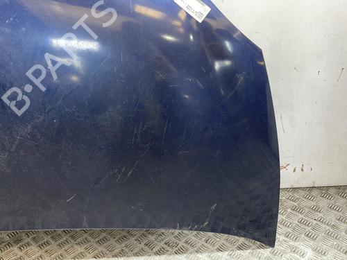 Hood LANCIA YPSILON (843_) 1.2 (843.AXA1A) | BP25670365C1 