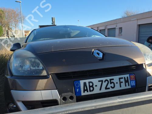Used Hood RENAULT SCÉNIC III (JZ0/1_) 1.9 dCi (JZ0J, JZ1J, JZ1K, JZ1S) (131 hp) 31808642
