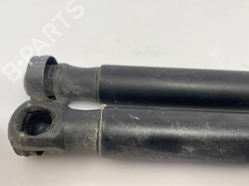 tailgate-lift-support-ford-fiesta-vi-cb1-ccn-2008-28155655 main image