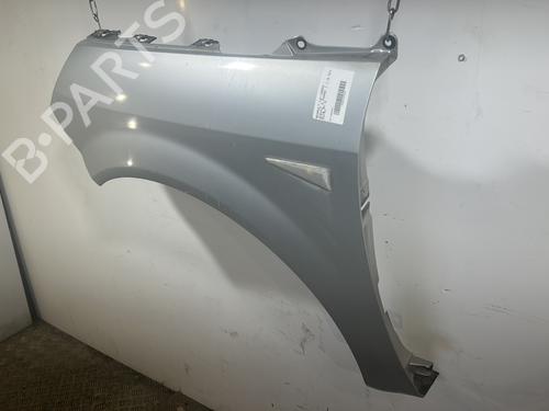 Left front fenders RENAULT SCÉNIC II (JM0/1_) 1.9 dCi (JM0G, JM12, JM1G, JM2C) | BP27707208C41 