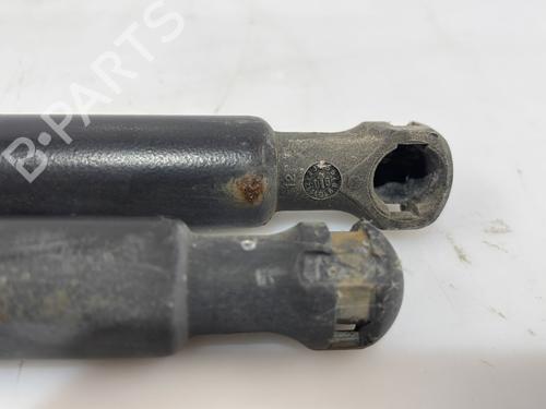 Tailgate lift support CITROËN C3 Pluriel (HB_) 1.4 | BP28705547C138 