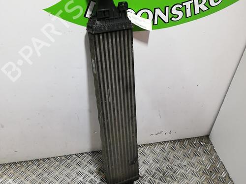 Intercooler VW TOUAREG (7LA, 7L6, 7L7) 2.5 R5 TDI | BP25665508M30 