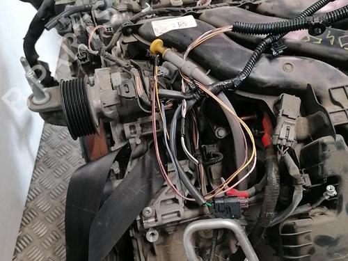 Engine RENAULT TWINGO III (BCM_, BCA_) 1.0 SCe 70 | BP25665939M1 