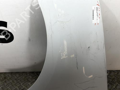 Used Left front fenders RENAULT SCÉNIC III (JZ0/1_) 1.6 E85 (JZ03, JZ1Y) (110 hp) 25663029