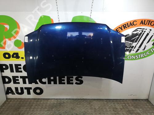 Used Hood VW CADDY III Box Body/MPV (2KA, 2KH, 2CA, 2CH) 2.0 SDI (70 hp) 25670975