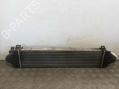 Intercooler LAND ROVER FREELANDER 2 (L359) 2.2 TD4 4x4 | BP25669848M30 - Image 2