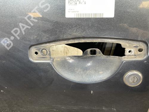 Left front door DACIA SANDERO 1.4 (BS0C, BS0A, BS0G, BS1F, BS0E) | BP25665710C2