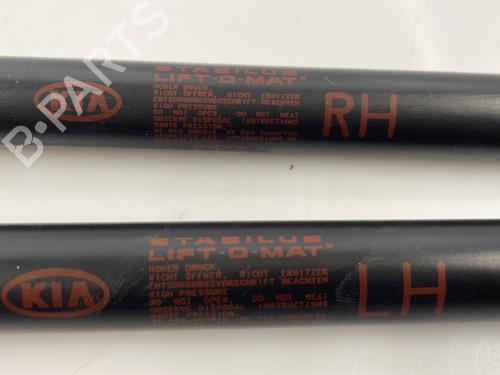 Tailgate lift support KIA SPORTAGE II (JE_, KM_) 2.0 CRDi 4WD | BP25669235C138 