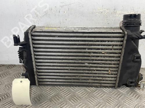 Intercooler RENAULT SCÉNIC IV (J9_) 1.2 TCe 130 | BP25662011M30 