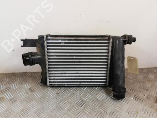 Used Intercooler Intercooler RENAULT CLIO IV (BH_) 1.5 dCi 75 (75 hp) 25668184 25668184