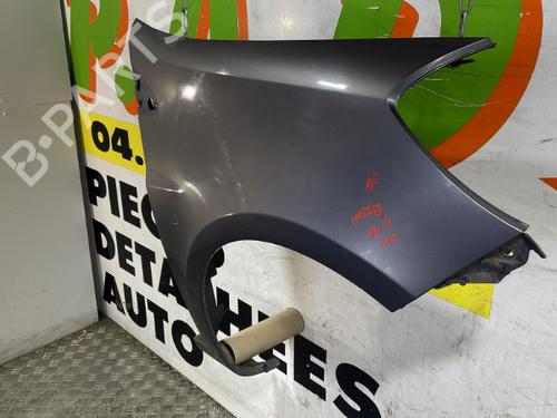 Right front fenders RENAULT CLIO III (BR0/1, CR0/1) 1.5 dCi (BR17, CR17) | BP25662148C42 