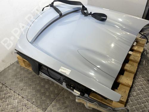 Tailgate RENAULT WIND (E4M_) 1.6 (E4MB, E4MC) | BP28681538C6