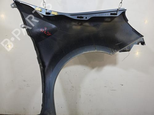 Left front fenders RENAULT MODUS / GRAND MODUS (F/JP0_) 1.5 dCi (FP0D, JP0D) | BP30732876C41