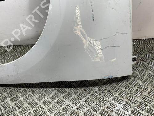 Left front fenders RENAULT SCÉNIC III (JZ0/1_) 1.6 E85 (JZ03, JZ1Y) | BP25663029C41 