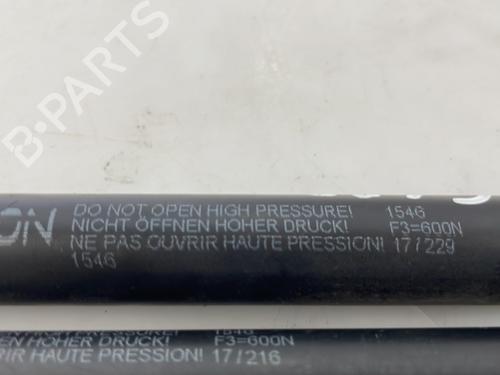 tailgate-lift-support-renault-megane-iii-hatchback-bz01_-b3_-2008-28096045 main image