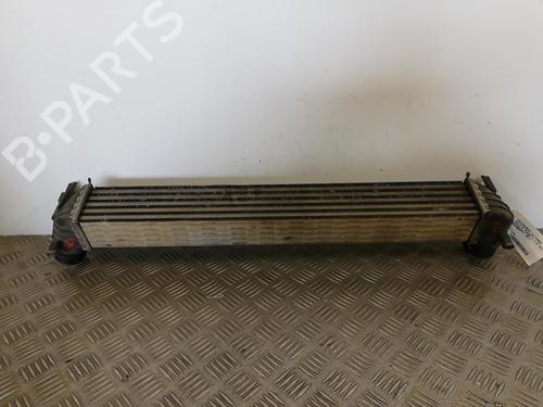 Used Intercooler Intercooler VW POLO V (6R1, 6C1) 1.6 TDI (90 hp) 25665335 25665335