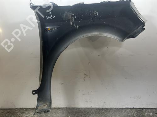 Left front fenders RENAULT SCÉNIC II (JM0/1_) 1.9 dCi (JM0G, JM12, JM1G, JM2C) | BP27707208C41 