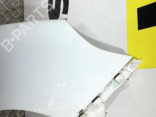 Right front fenders RENAULT SCÉNIC III (JZ0/1_) 1.6 E85 (JZ03, JZ1Y) | BP25663030C42 